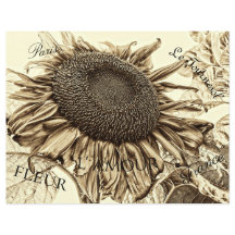 Vintage Sunflower Sepia Tone a la antigua escritur