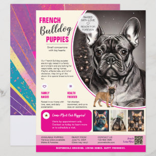 Lámina Volante de Bulldog Francés Púrpura