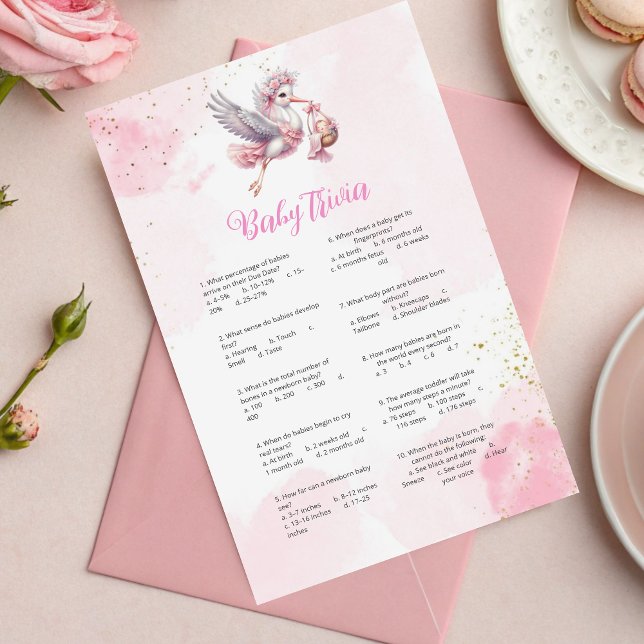 Lámina Whimsical Pink Stork Baby Shower Trivia Game (Subido por el creador)