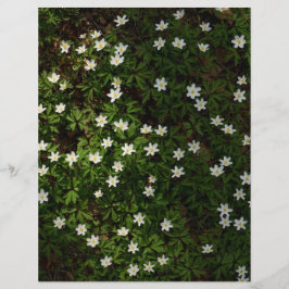 Lámina White spring flowers in woodland Scrapbook Paper