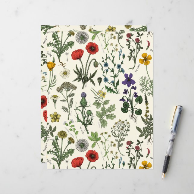 Lámina Wildflowers collage (Anverso/Reverso In Situ)