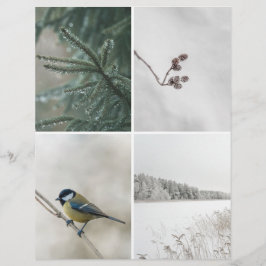 Lámina Winter Nature: Christmas Scrapbook Cutout paper