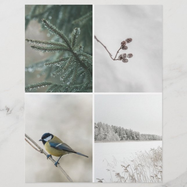 Lámina Winter Nature: Christmas Scrapbook Cutout paper (Anverso)