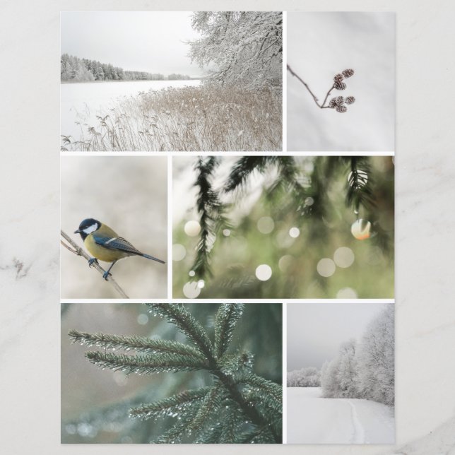 Lámina Winter Nature: Christmas Scrapbook Cutout paper (Anverso)