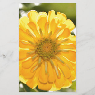 Lámina Zinnia amarilla, margarita amarilla, flor amarilla