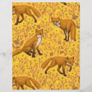 Lámina Zorros y nalgas en el naranja