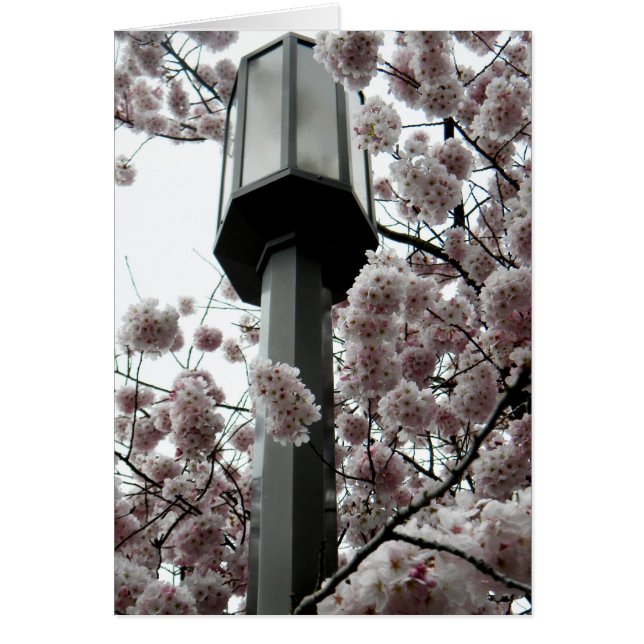 Lámpara de flor (Frente)