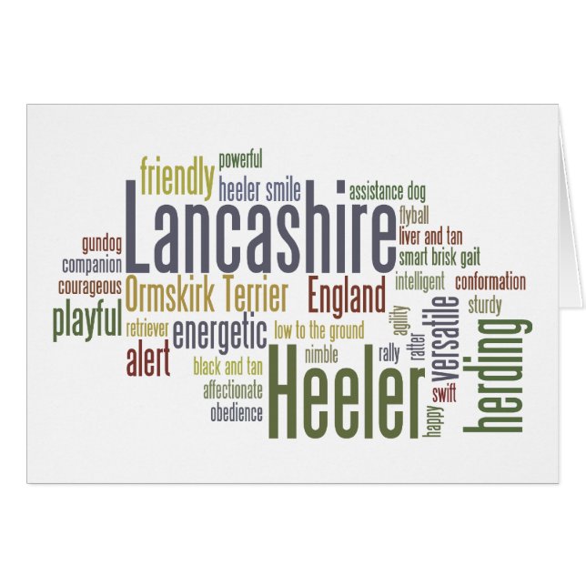 Lancashire Heeler (Anverso (Horizontal))