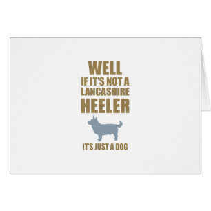 Lancashire Heeler