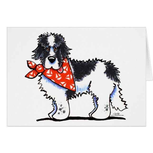 Landeer Newfie Sailor (Anverso (Horizontal))