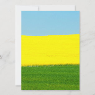 Landscape Meadow