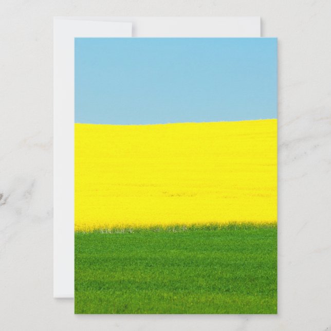 Landscape Meadow (Anverso)