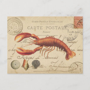Langosta del vintage y postal de los seashells