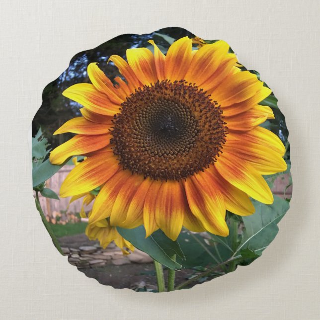 Lanza de almohada con girasoles (Reverso)