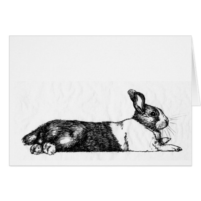 Lanza el Bunneh Unamused (Anverso (Horizontal))