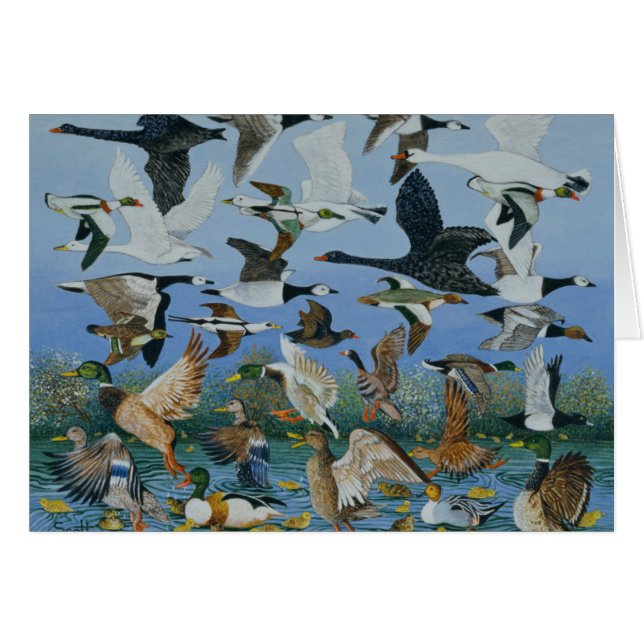 Lanzamiento de 1996 (Anverso (Horizontal))