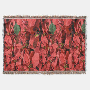 Lanzamiento de la manta navideña de los Navidades