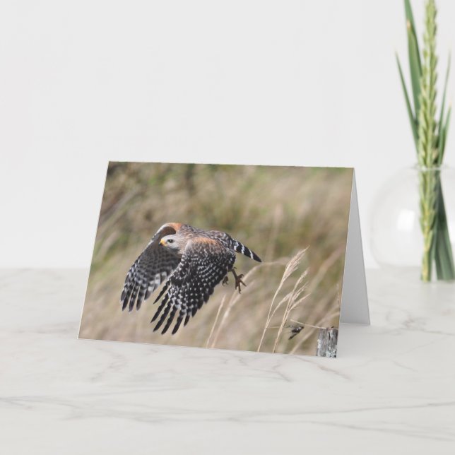 Lanzamiento de la tarjeta de felicitación (Anverso)