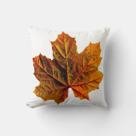 Lanzar almohada para cada habitación