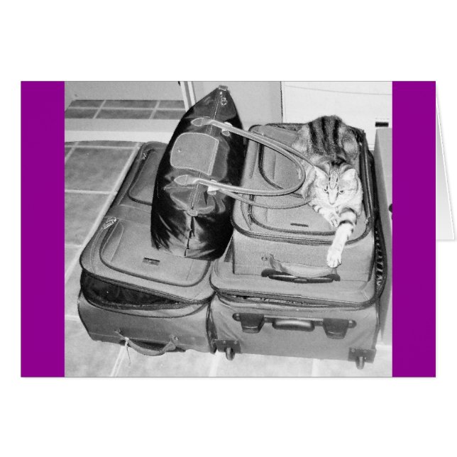 Lápiz índigo de viaje (Anverso (Horizontal))