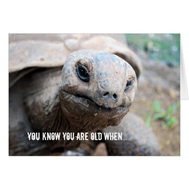 Lapso de la memoria de la tortuga gigante (Anverso (Horizontal))