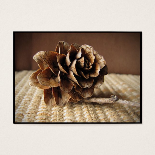 Larch Cone ATC (Frente)