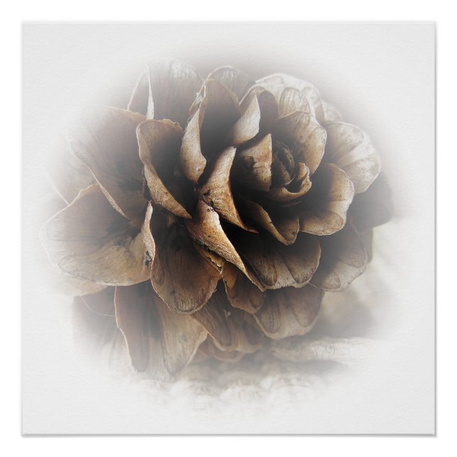 Larch Cone Poster (Anverso)