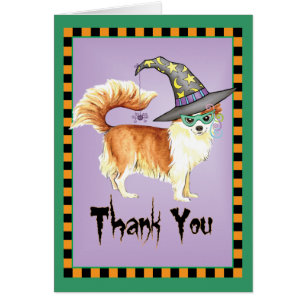 Larga Abril Chihuahua Bruja Gracias tarjeta