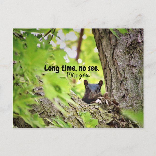 Largo tiempo, no ver postal (Anverso)