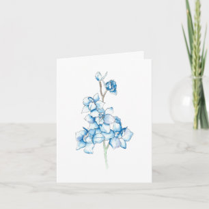 Larkspur azul