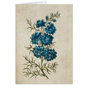 Larkspur doble vintage