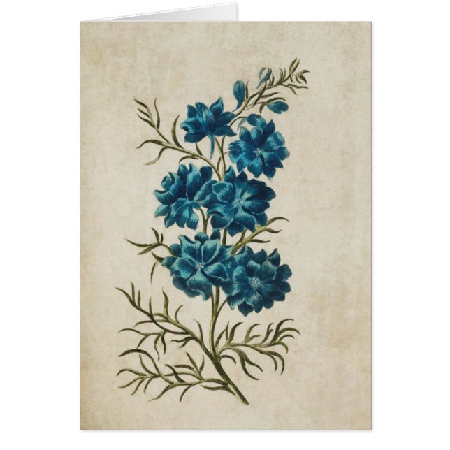 Larkspur doble vintage (Frente)