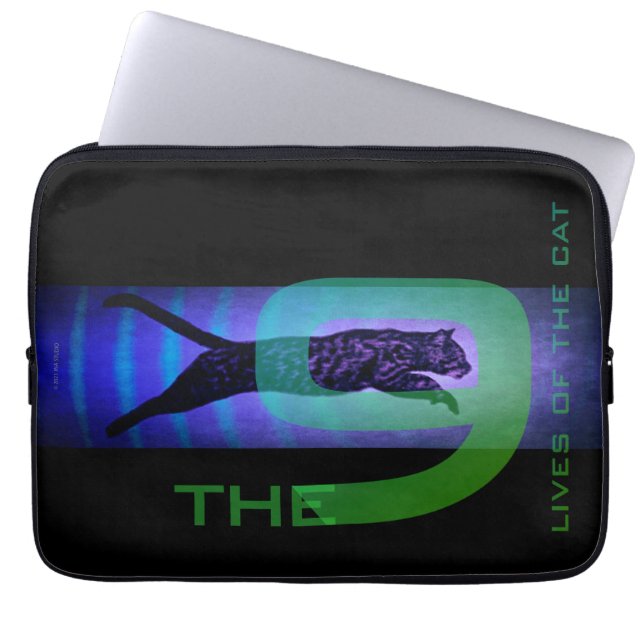 Las 9 vidas de la bolsa electrónica del gato (Frente)