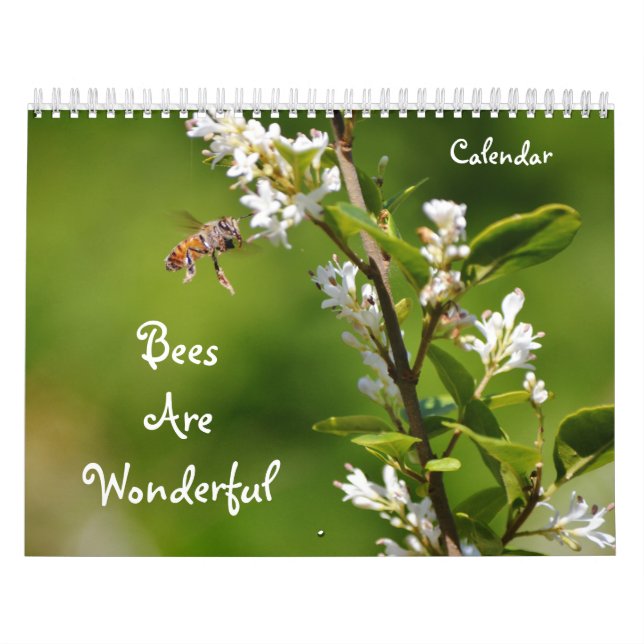 Las abejas son un maravilloso calendario de natura (Tapa)