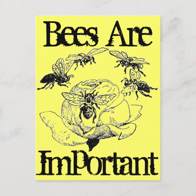 Las abejas son una postal importante (Anverso)