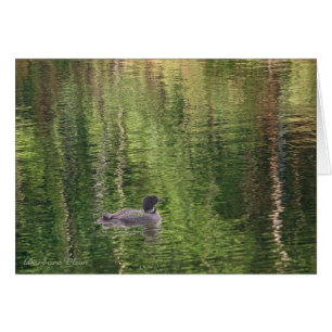 Las aguas de Walden Pond—Loon común