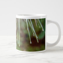 Las agujas del pino y llueven la taza de 20 onzas
