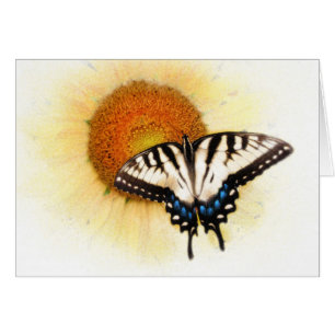 Las alas de una mariposa