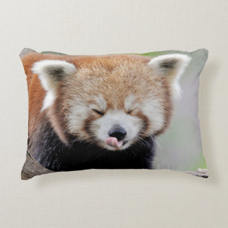 Las almohadas son pandas rojas. Panda roux. Animal