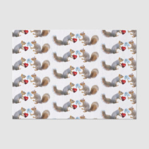 Las ardillas adoran papel de tejidos