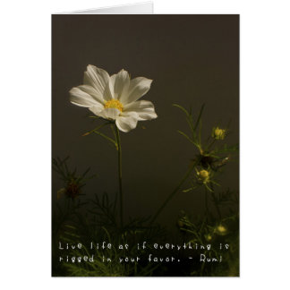 Las aventuras asombrosas de Amelia