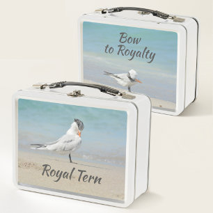 Las aves marinas Royal Tern se inclinan hacia la p