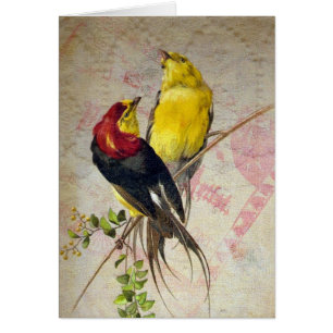 Las Aves Vintage Encienden La Textura Todas Las Oc