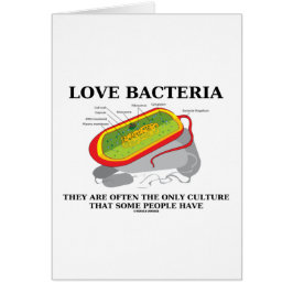 Las bacterias del amor crían a menudo solamente