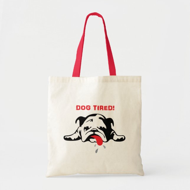 LAS BOLSAS DE ASAS PARA EL USO DIARIO (Frente)