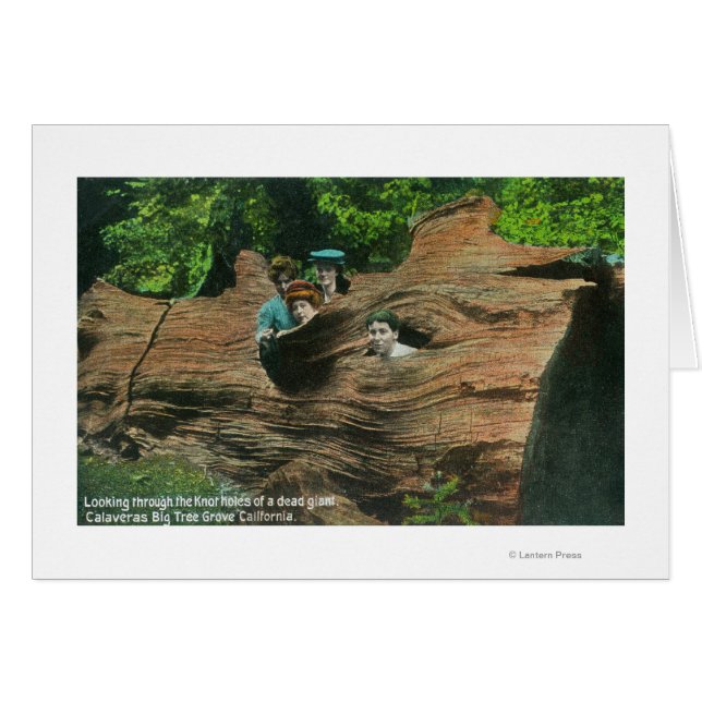 Las cabezas expuestas en los tallos de nudos de se (Anverso (Horizontal))