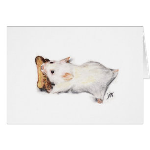 Las Cartas Del Ladrón De Huesos (Hamster)
