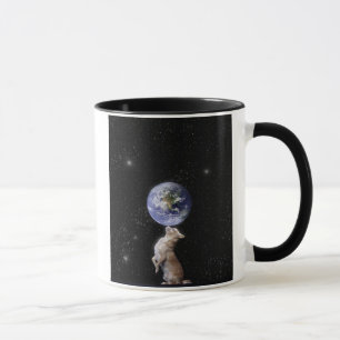 Las chihuahuas gobiernan la taza del mundo