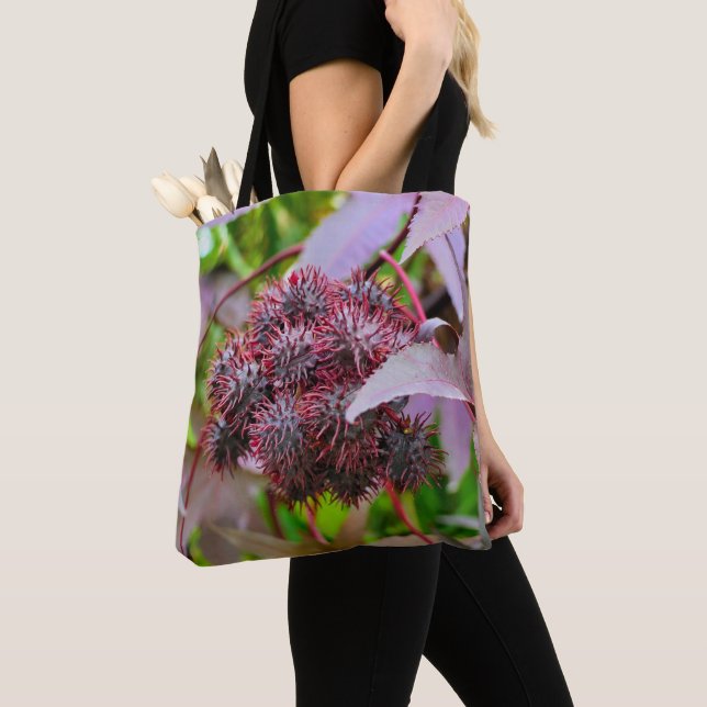 Las comunidades de Ricinus en toda la bolsa de imp (Detalle)