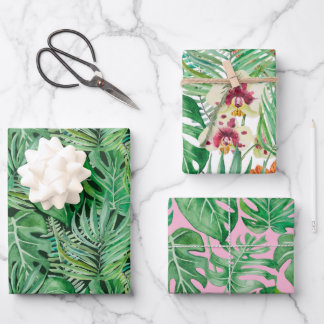 Las enormes hojas de palmeras y de monstera